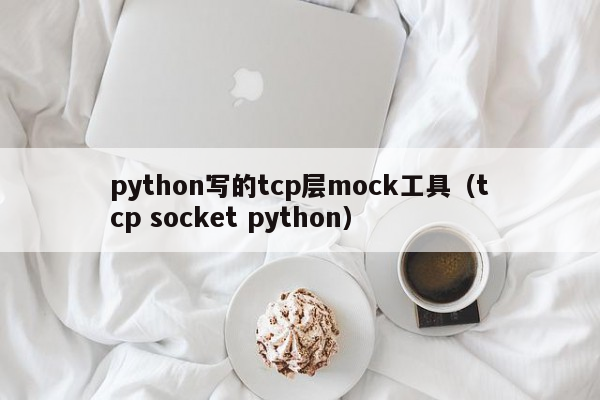 python写的tcp层mock工具（tcp socket python）