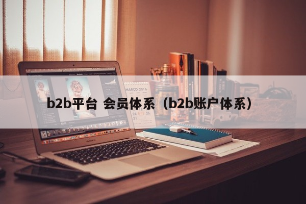 b2b平台 会员体系（b2b账户体系）