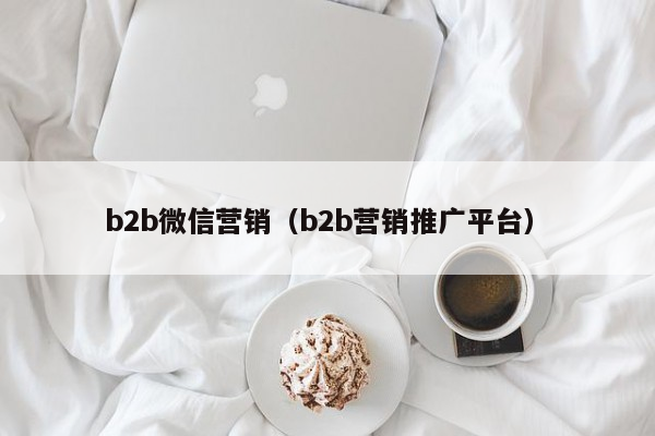 b2b微信营销（b2b营销推广平台）